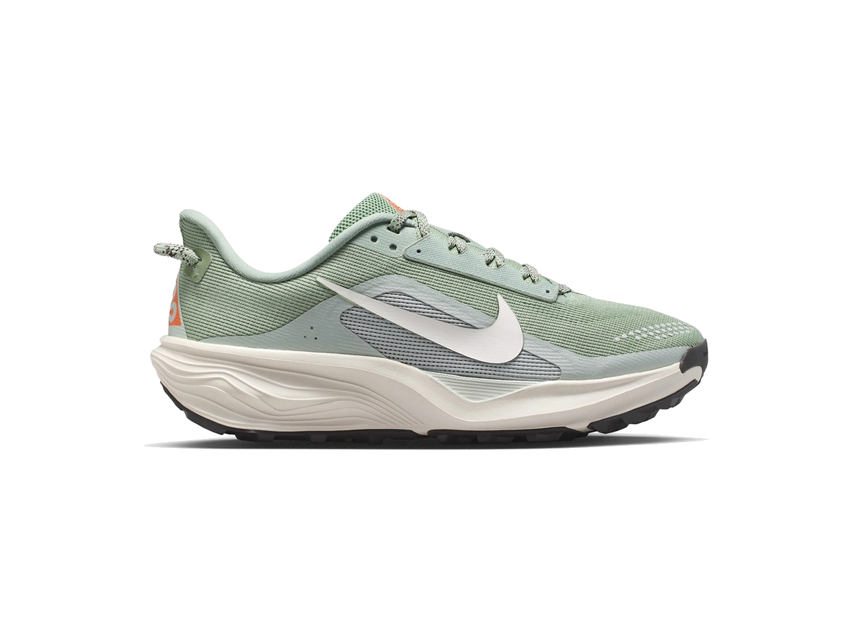 Nike ACG Pegasus Trail Jade Horizon Light Silver (Women's)