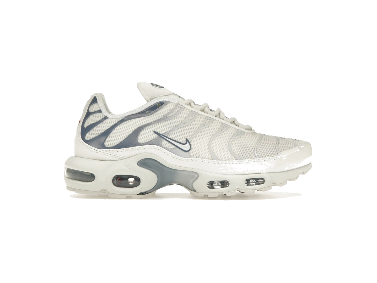 Nike Air Max Plus Ashen Slate (Women's)