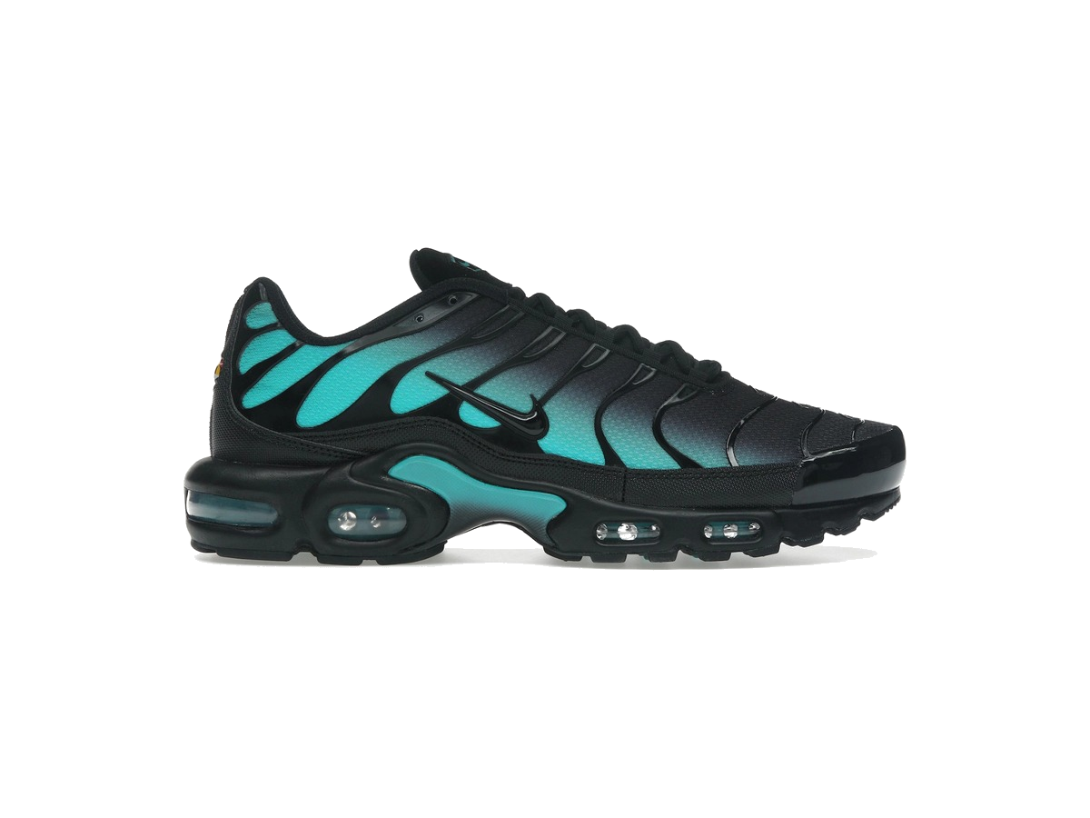 Nike Air Max Plus Black Dusty Cactus