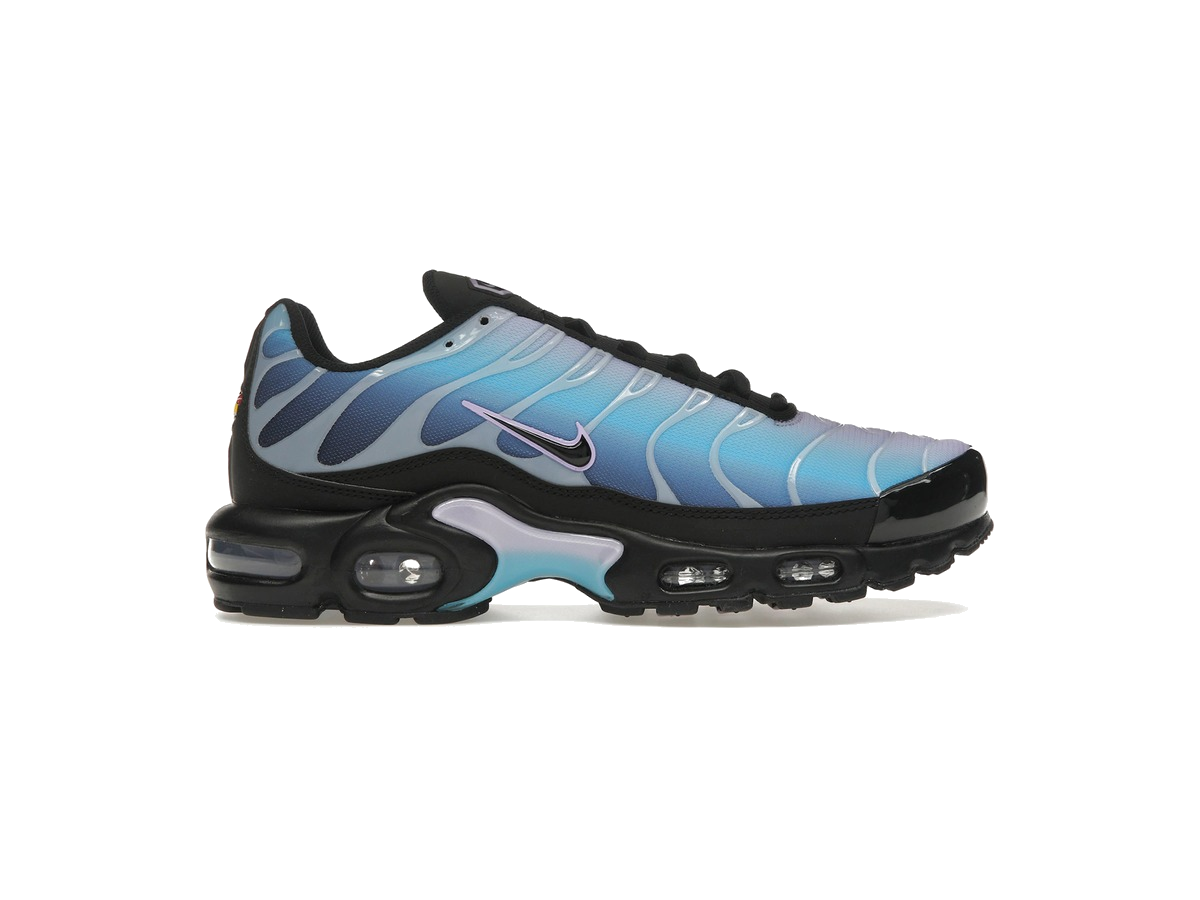 Nike Air Max Plus Black Hydrangeas (Women's)