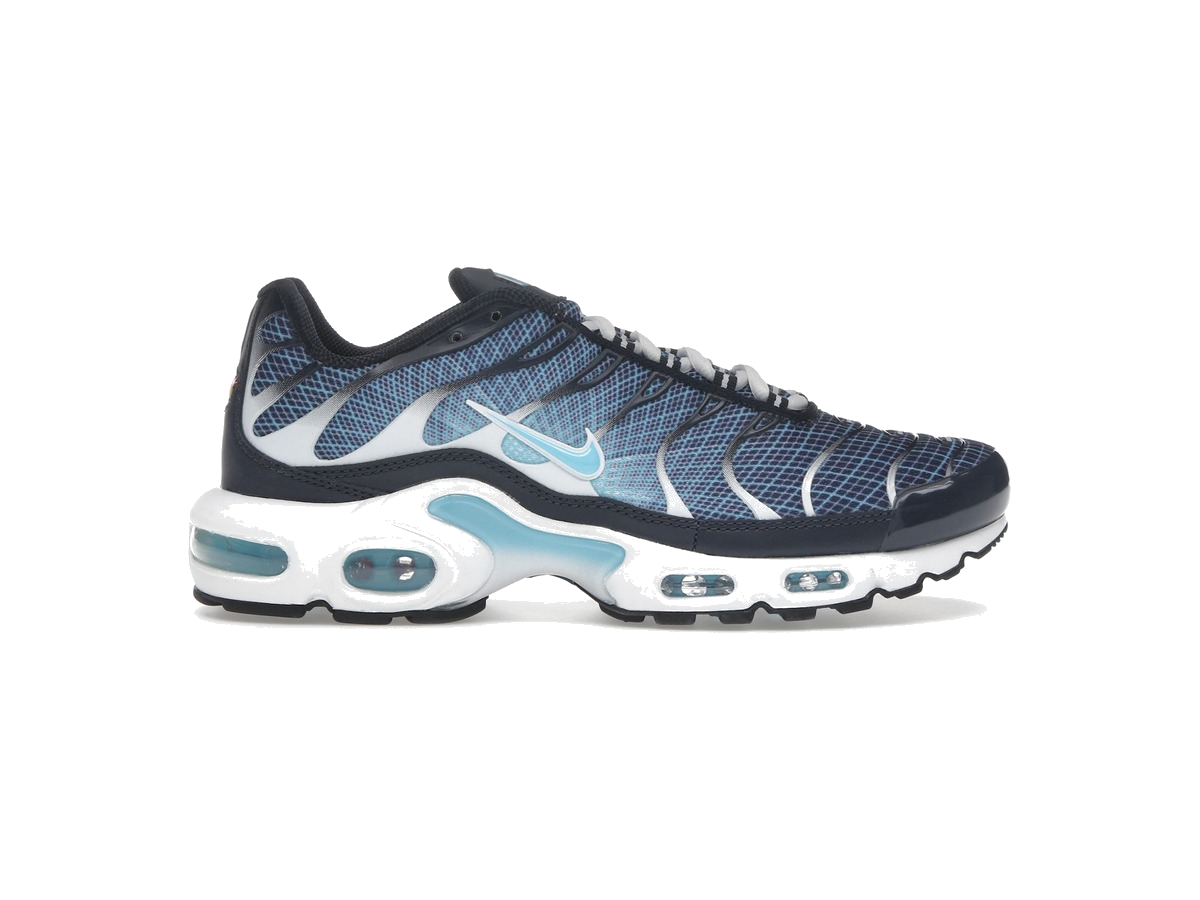 Nike Air Max Plus Dark Obsidian