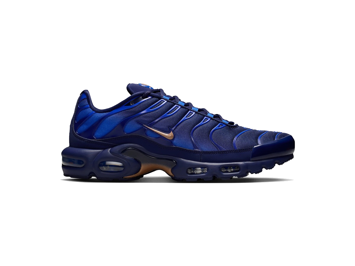 Nike Air Max Plus French Football Federation
