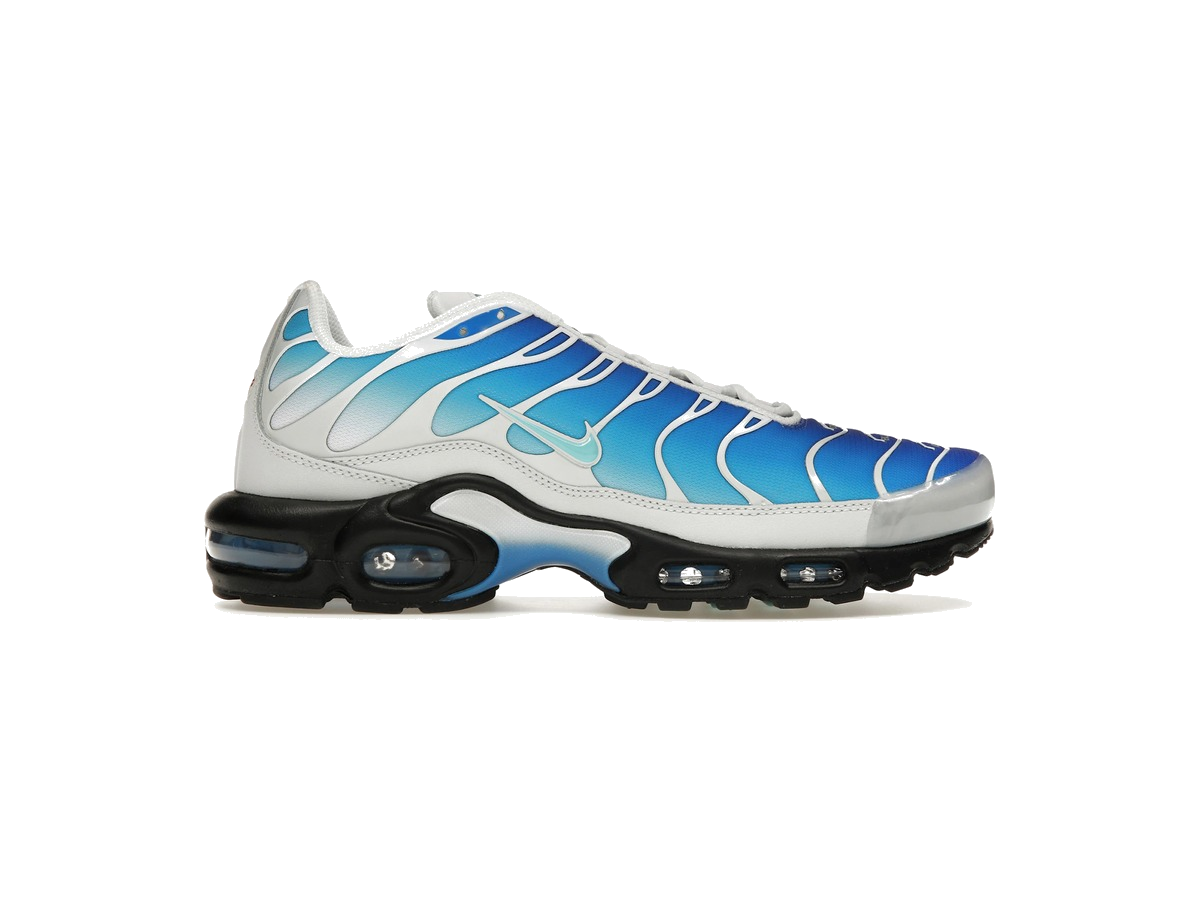 Nike Air Max Plus One Block Down Light Photo Blue