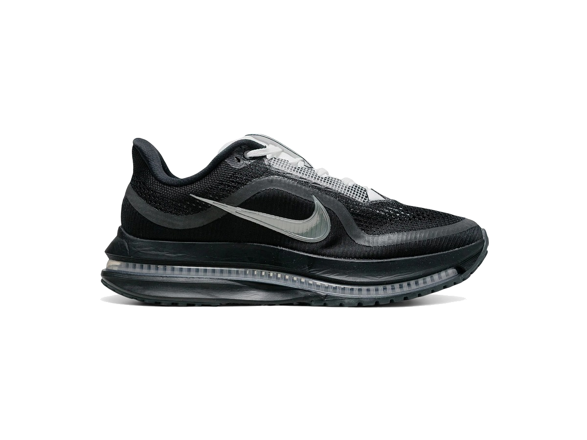 Nike Air Zoom Pegasus Premium SP Black Metallic Silver