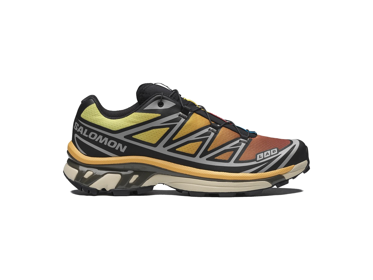 Salomon XT-6 Black Grape Leaf Beach Ball