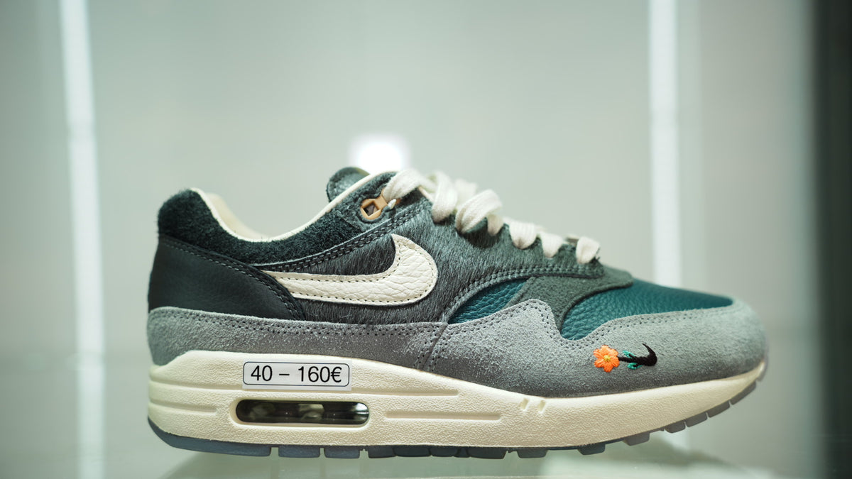 Nike Air Max 1 Kasina Won-Ang Grey