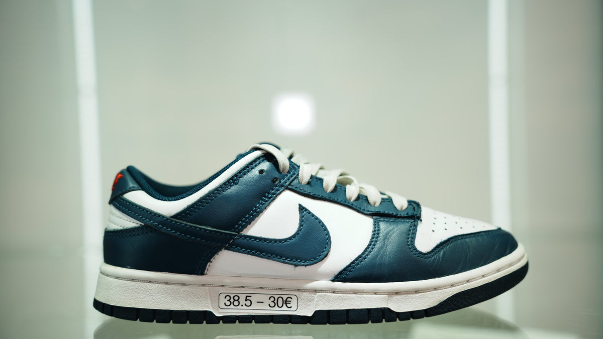 Nike Dunk Low Valerian Blue
