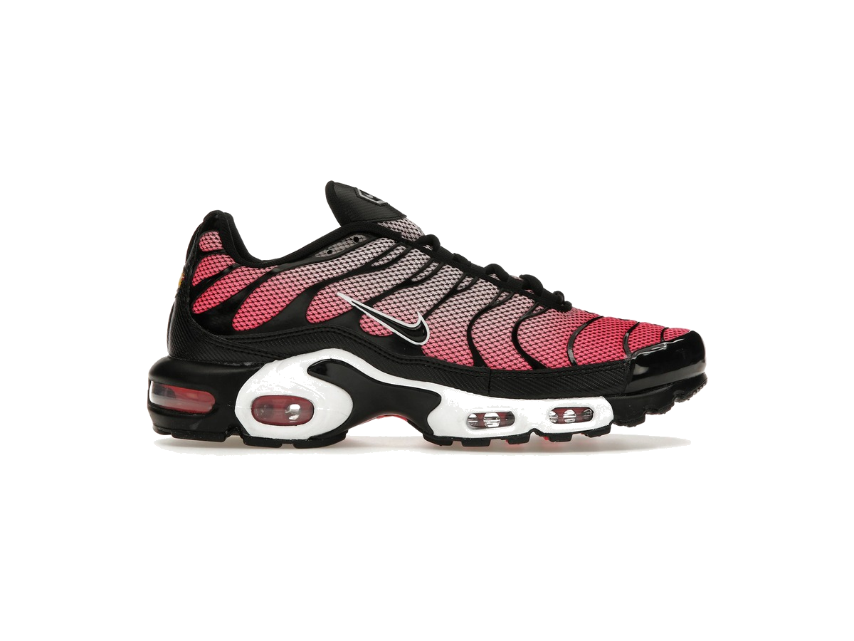 Nike Air Max Plus All Day