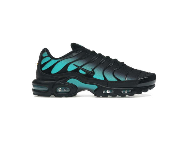 Nike Air Max Plus Black Dusty Cactus