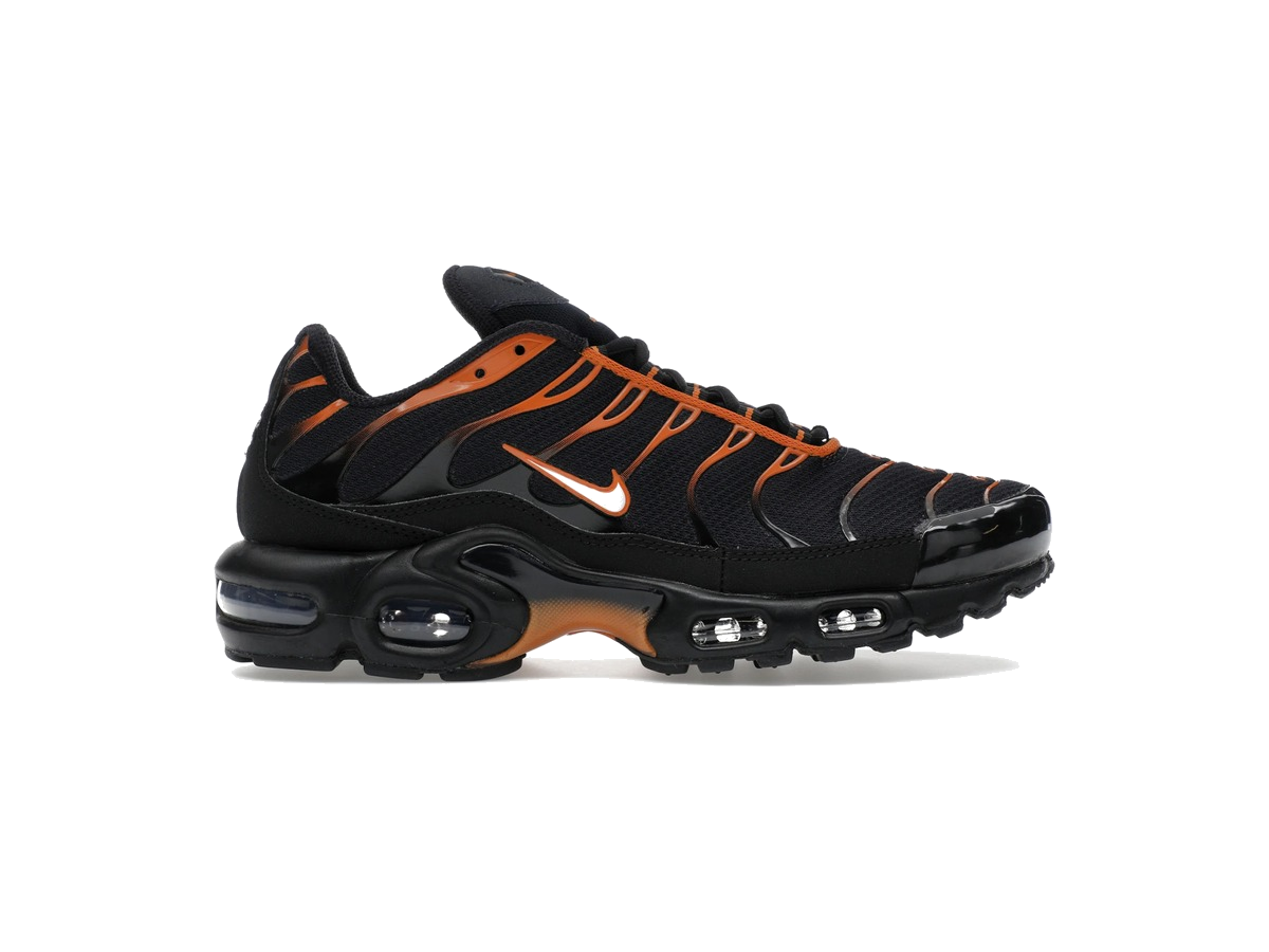 Nike Air Max Plus Dark Obsidian Monarch