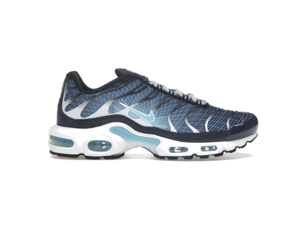 Nike Air Max Plus Dark Obsidian