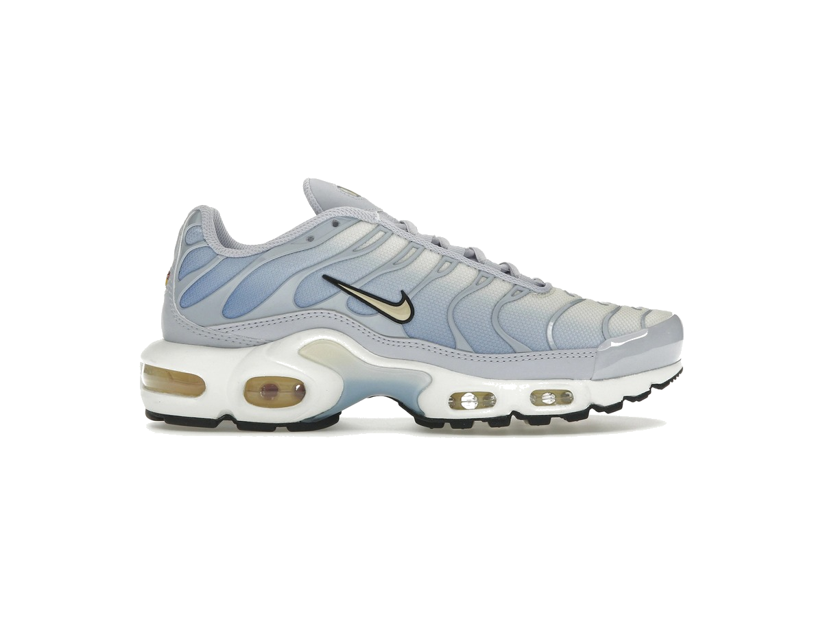 Nike Air Max Plus Daybreak (Women's)