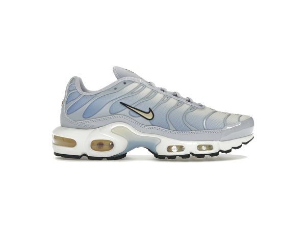 Nike Air Max Plus Daybreak (Women's)