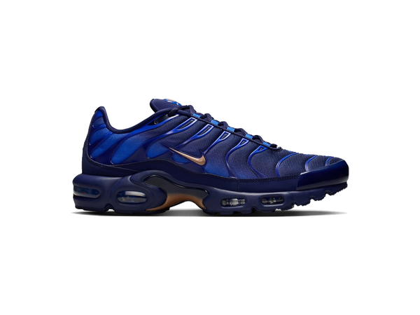 Nike Air Max Plus French Football Federation