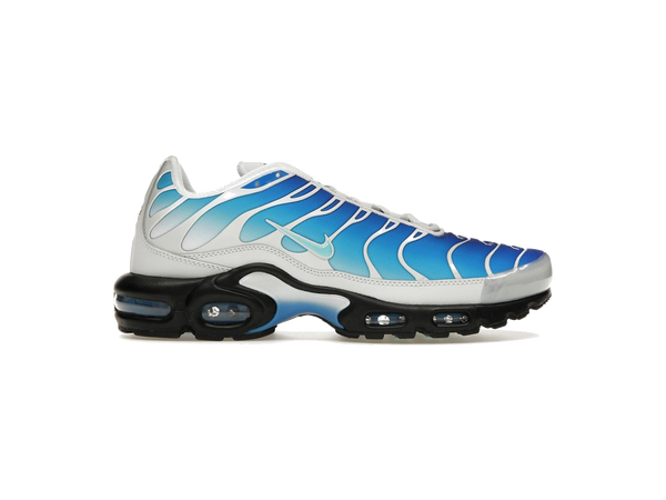 Nike Air Max Plus One Block Down Light Photo Blue