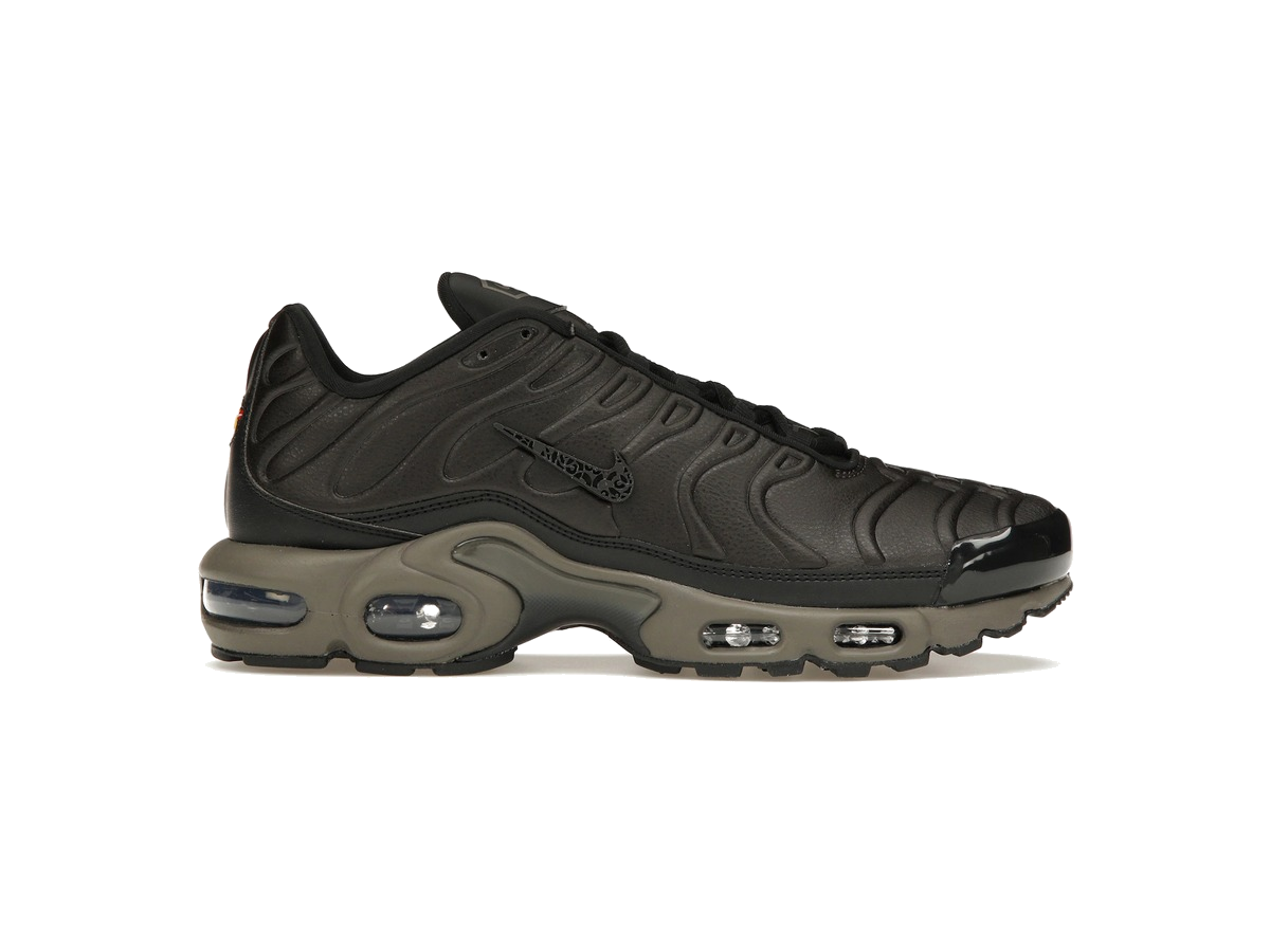 Nike Air Max Plus Premium Paris