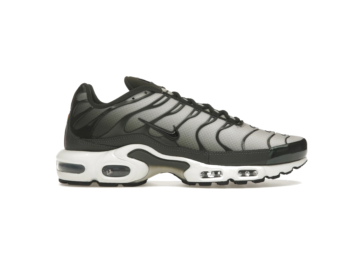 Nike Air Max Plus Sequoia Cargo Khaki
