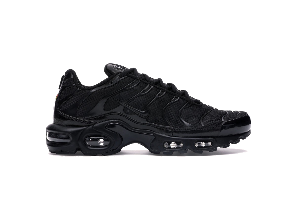 Nike Air Max Plus Triple Black