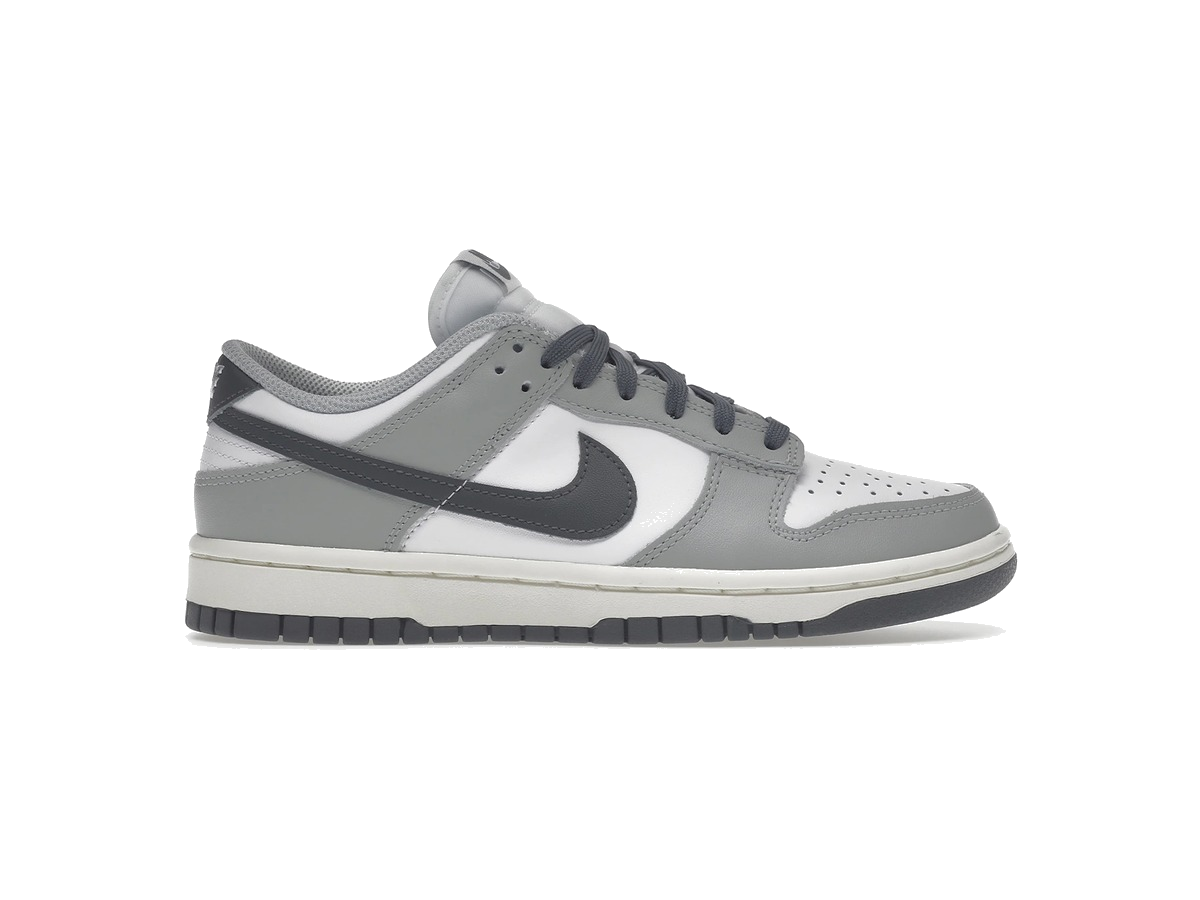 Nike Dunk Low Light Smoke Grey (Women's)