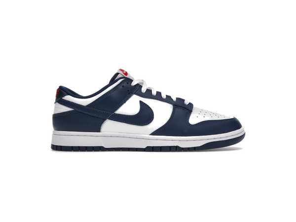 Nike Dunk Low Valerian Blue