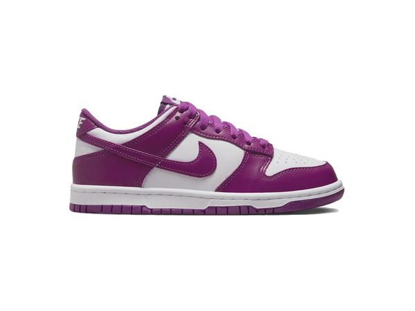 Nike Dunk Low Viotech (GS)