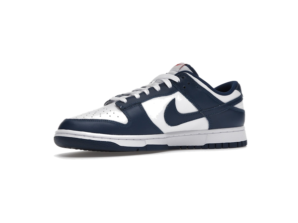 Nike Dunk Low Valerian Blue