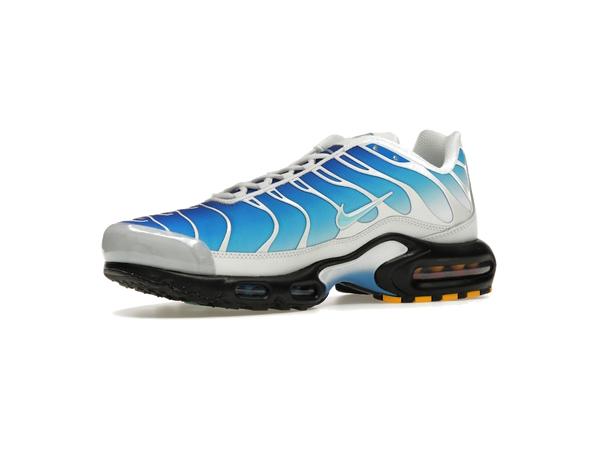Nike Air Max Plus One Block Down Light Photo Blue