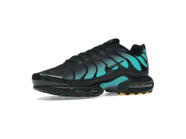 Nike Air Max Plus Black Dusty Cactus