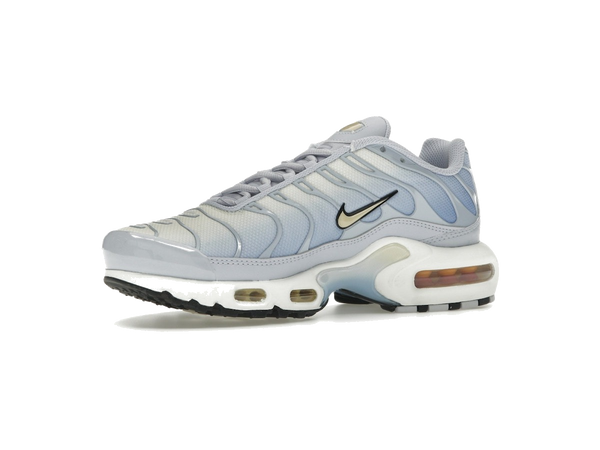 Nike Air Max Plus Daybreak (Women's)