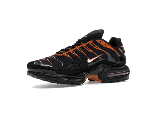 Nike Air Max Plus Dark Obsidian Monarch
